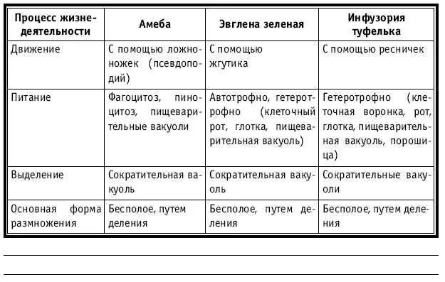 УРОК 29 4 ТЕМА Разнообразие подцарства Многоклеточных животных Тип Губки - фото 187