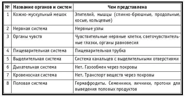 Рассмотрев общую характеристику типа следует выделить особенности отдельных - фото 206