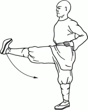 Цэчуайтуй удар ногой в сторону Из исходного положения позиция бинбу руки на - фото 63
