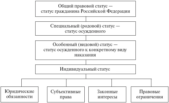 Рис 4 Виды и структура правового статуса осужденного Юридическая - фото 5