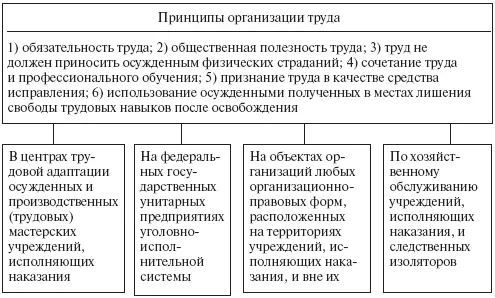 Рис 8 Принципы и основные формы организации труда осужденных к лишению - фото 16