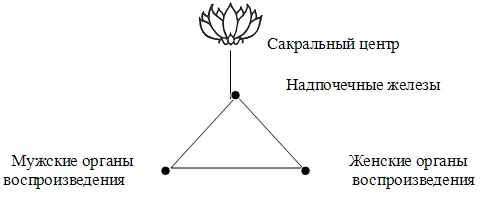 В конце концов в Божественном Гермафродите который появится позднее возникнет - фото 2