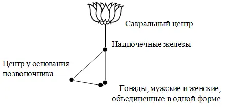И вновь вы видите брат мой как Наука Треугольников управляет человеческим - фото 3