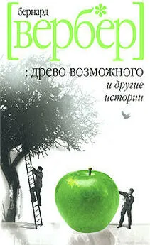 Бернард Вербер - Древо возможного и другие истории