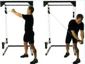 Сгибания ног сидя Seated leg curl Если в вашем зале такого тренажера нет - фото 122