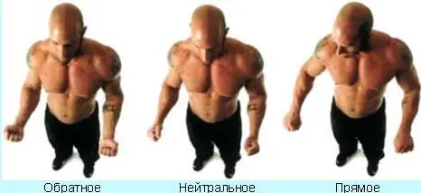 Вы можете выполнять сгибания на бицепс стоя обратным супинированным хватом на - фото 17