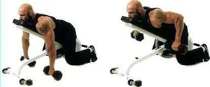 Подъем гантелей перед собой Dumbbell front raise Держите ваши руки ладонями - фото 89