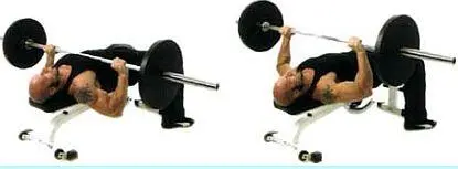 Разведение гантелей в стороны лежа лицом вниз на наклонной скамье Dumbbell - фото 93