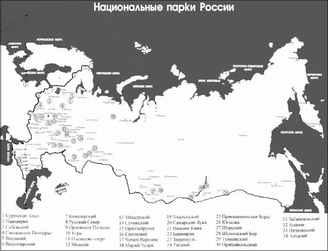 Природные ресурса РФ огромны 23 ее территории покрыто лесами легкими - фото 46