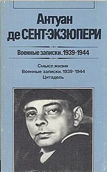 Антуан де Сент-Экзюпери - Надо придать смысл человеческой жизни