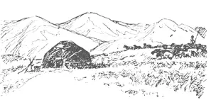 У подножия высоких гор МоголТау издали видны какието неуклюжие низкие - фото 1
