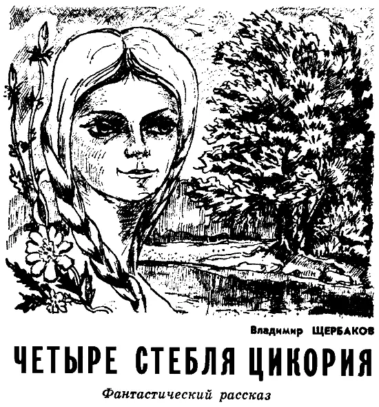 Пронзительноясно обрисованы белые глыбы на крутом склоне прерывистая нить - фото 7