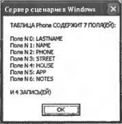 Рис 911Информация о полях и записях таблицы Phone В TableInfojs для доступа - фото 120