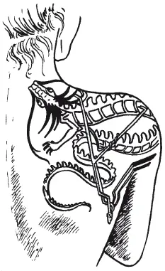 Стилизованная ящерица переползающая с плеча на спину рекомендуется тем кто - фото 28