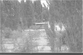 Приезд в советское прошлое МАРШРУТ ВЫМЕРШИЕ УЛИЦЫ МОЕГО ДЕТСТВА Гид - фото 26