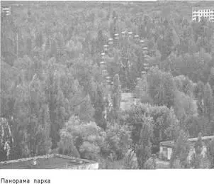 колесом обозрения что фотографируют едва ли не чаще самого саркофага Колесо - фото 52