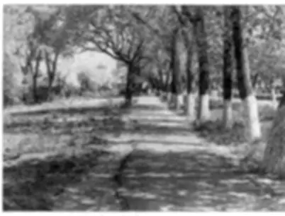 Ул Советская 1993 год Ул Советская 2008 год Мемориал героям Чернобыля - фото 108