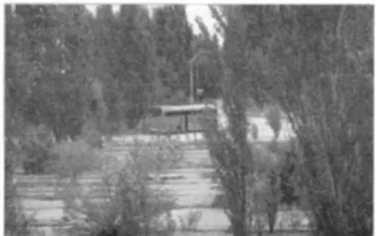 Приезд в советское прошлое Маршрут Вымершие улицы моего детства Гид - фото 42