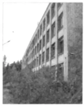 Школа на вечных каникулах На пристани только и разговоров что об аварии на - фото 74