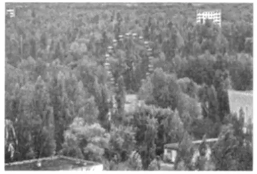 Панорама парка Я вспоминаю Стругацких и свой любимый Пикник на обочине И - фото 97