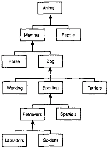 Рис 111 Иерархия млекопитающих В C иерархичность реализована в концепции - фото 22