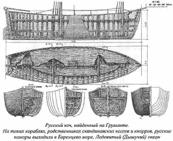 Корни свои бореалы хранили тщательно и долго Я неспроста обратил внимание на - фото 41
