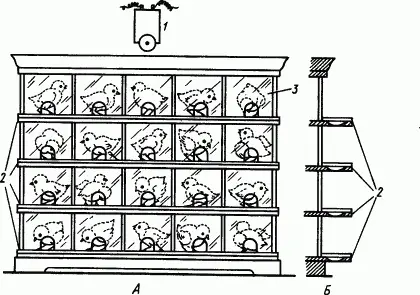 Рис 86 Установка для одновременного исследования условных рефлексов в 20 - фото 108