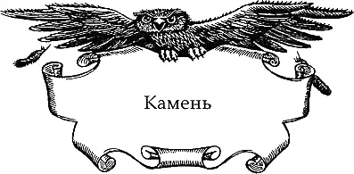 Камень Гдето неподалеку зашуршал подлесок и Шейд почувствовал как земля - фото 6