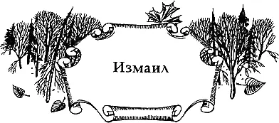 Измаил Шейд висел без сна глядя как утренний свет проникает через длинный - фото 8