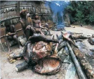 Фото 9 Мясо горилл коптят и выдают за мясо буйвола что в отдельных районах - фото 9