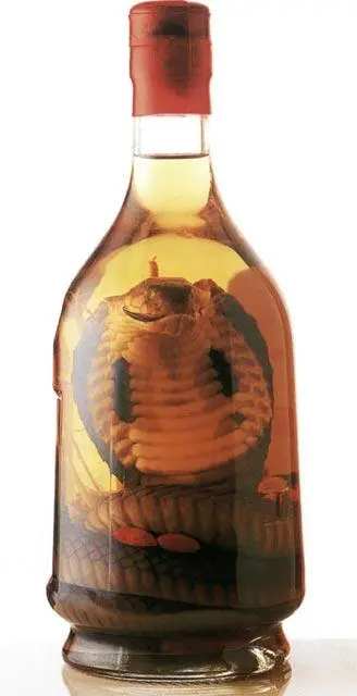 Фото 14 Искусно уложенная в бутылке кобра с расправленным капюшоном на - фото 14
