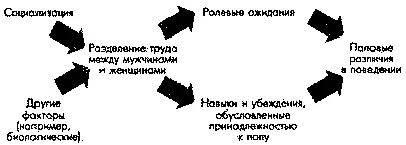 Социализация Ролевые ожидания Разделение труда между мужчинами и женщинами - фото 9