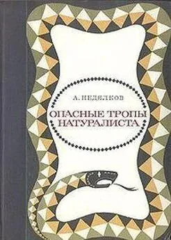 Аркадий Недялков - Опасные тропы натуралиста (Записки ловца змей)