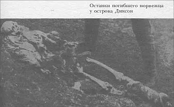Останки погибшего норвежца у острова Диксон Рис 15 Купленную в Дудинке - фото 15