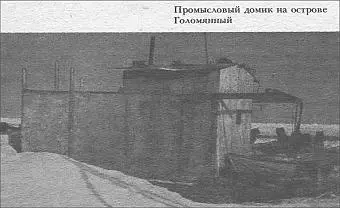 Промысловый домик на острове Голомянный Рис 41 Острова Северной Земли были - фото 41