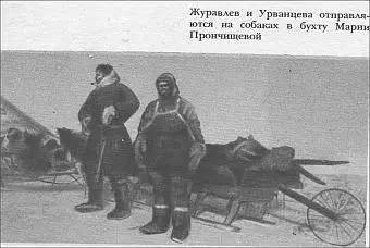 Журавлев и Урванцева отправляются на собаках в бухту Марии Прончищевой Рис - фото 49