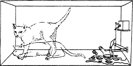 Кот Шредингера в наложении собственных состояний Взято из Множественных - фото 4