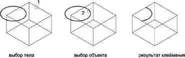 Редактирование тела КЛЕЙМО Панель 3D построения Клеймо Краткий - фото 399