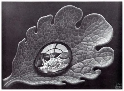 Рис 47 М К Эшер Капля росы глубокая печать 1948 Вот еще один - фото 65