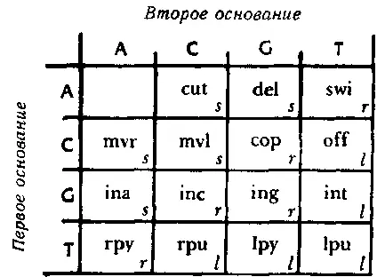 Рис 87 Типогенетический код при помощи которого каждый дублет кодируется как - фото 113