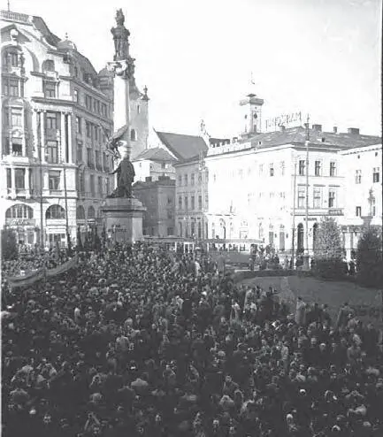 Митинг жителей г Львова у памятника Адаму Мицкевичу Вид зала заседания - фото 57