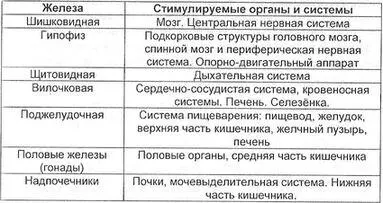 Таблица 3 Связь эндокринных желез и систем организма Существует взаимосвязь - фото 19