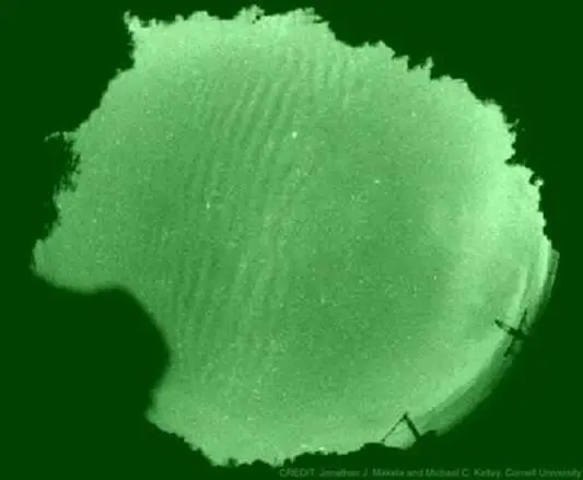 Рис 816 Зеленое Сияние на ночной поверхности Венеры с любезного разрешения - фото 68