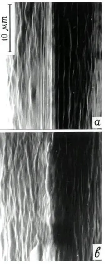 Рис 94 Обычная поверхность лезвия а и поверхность лезвия после пребывания - фото 72