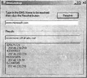 Пример просто предлагает пользователю ввести имя DNS в основное текстовое поле - фото 118