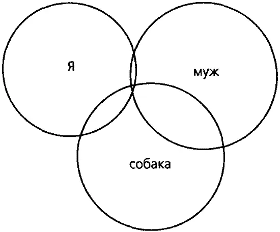 Рис 42 Рисунок семьи Д Таким образом собака является своеобразным - фото 37