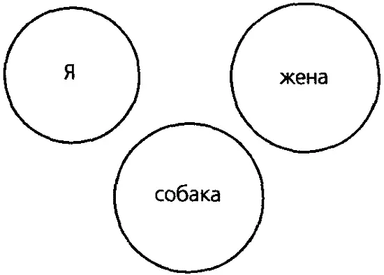 Рис 45 Рисунок семьи Н и С На рисунке видно что собака в настоящее время - фото 40