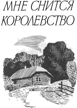 МНЕ СНИТСЯ КОРОЛЕВСТВО 1 Я стою у ворот и смотрю как розовеет н - фото 1