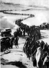 Гитлеровские вояки после Сталинградской битвы 1943 год На параде Победы - фото 40