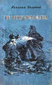 Николай Далекий - Не открывая лица